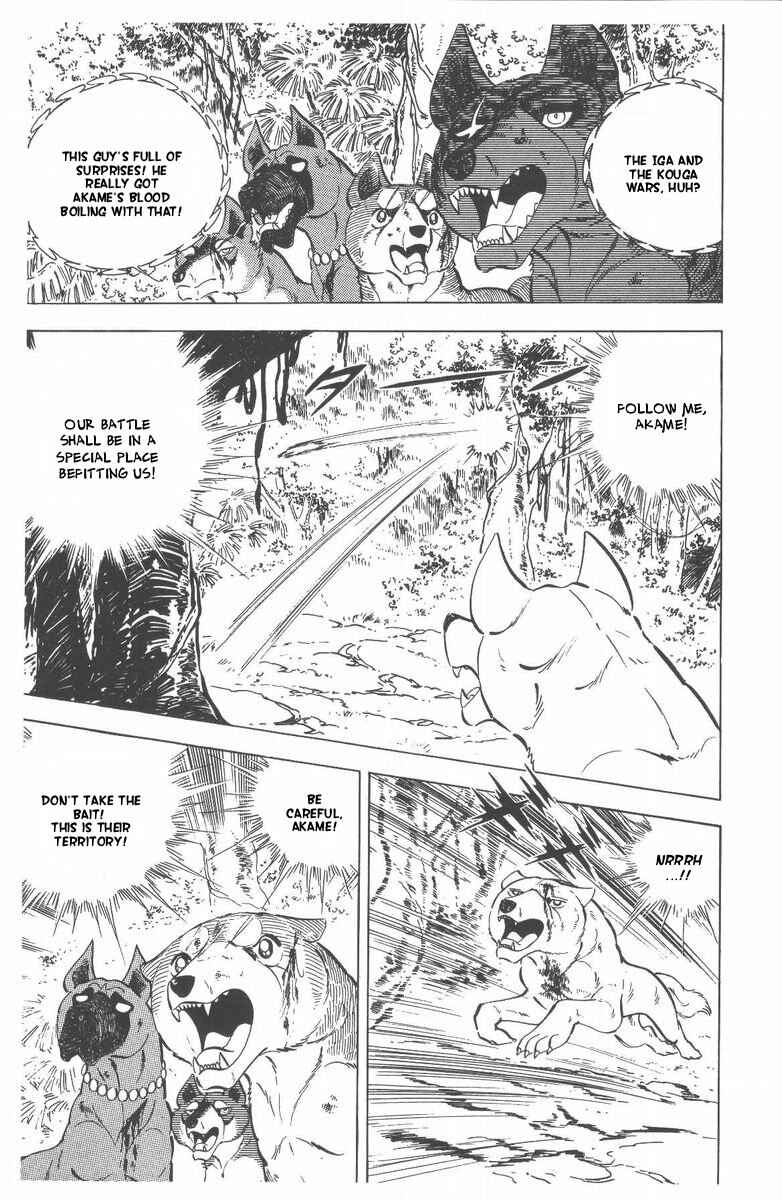 Silver Fang – The Shooting Star Gin – Chapter 50 - Page 29