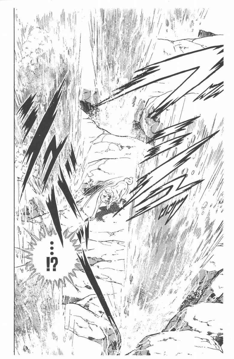 Silver Fang – The Shooting Star Gin – Chapter 50 - Page 32