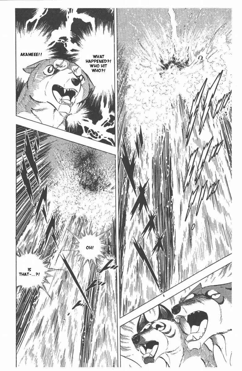 Silver Fang – The Shooting Star Gin – Chapter 50 - Page 52