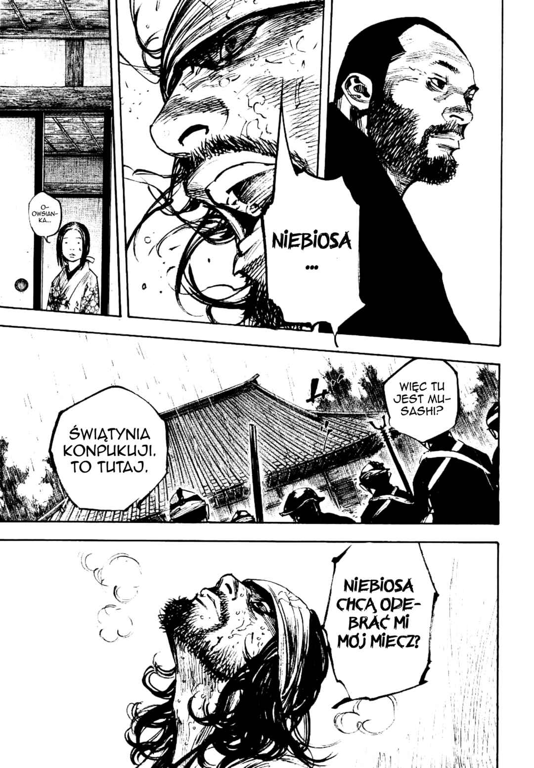 Vagabond Chapter 251 - Page 14