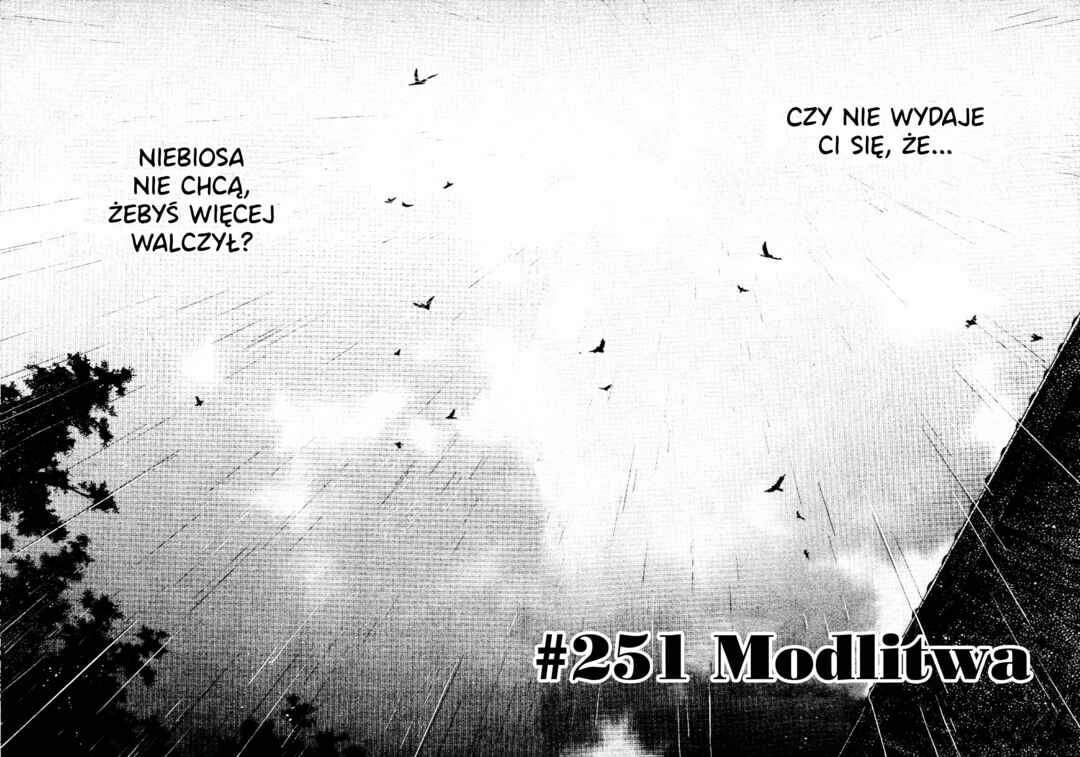 Vagabond Chapter 251 - Page 3
