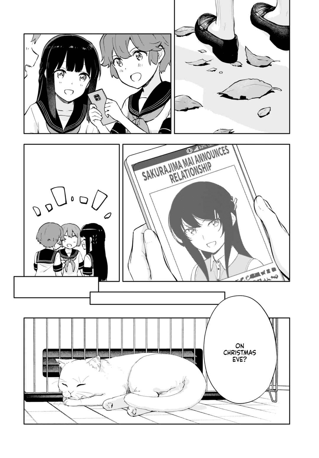 Rascal Does Not Dream of a Dreaming Girl Chapter 15 - Page 13