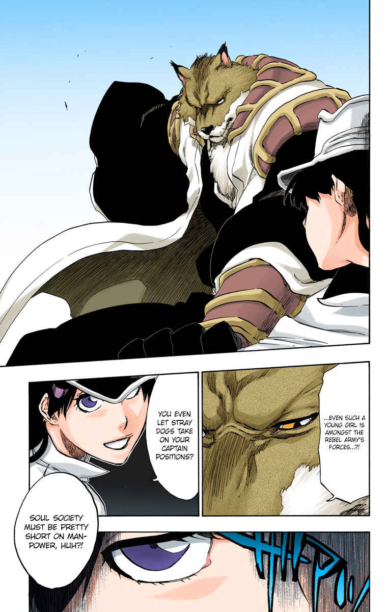 Bleach (Official Colored) Chapter 495 - Page 15