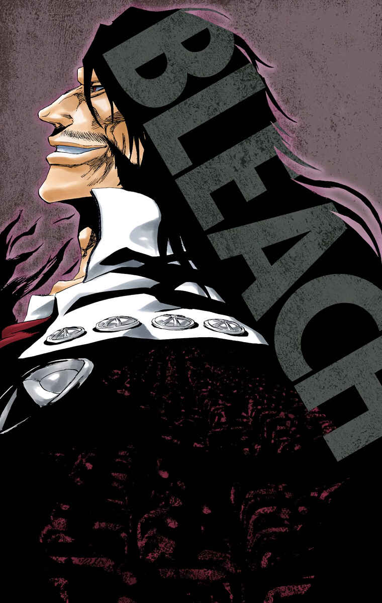 Bleach (Official Colored) Chapter 495 - Page 3