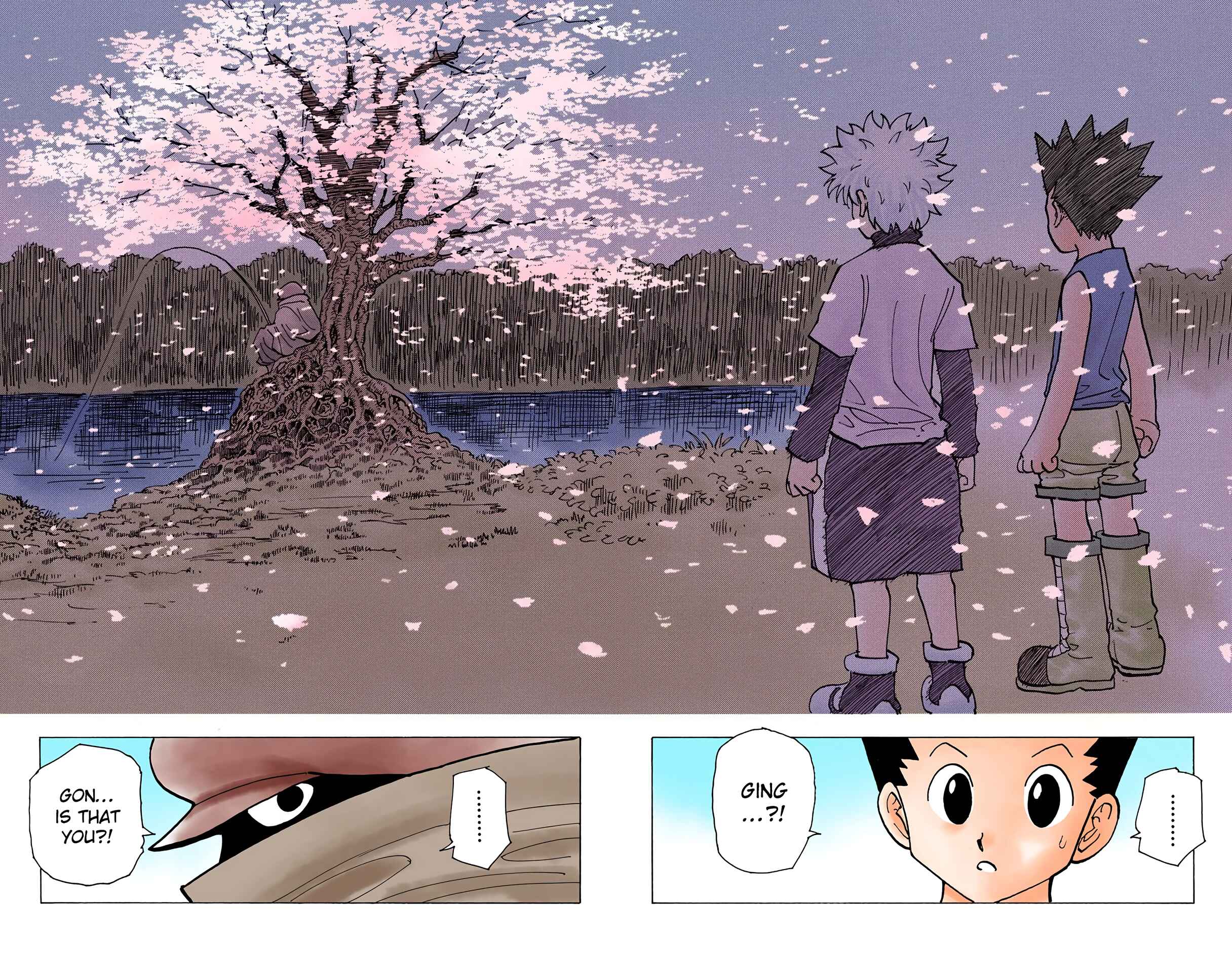 Hunter x Hunter (Official Colored) Chapter 185 - Page 10