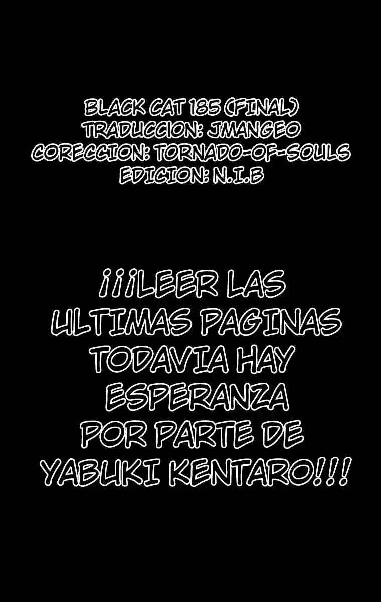 Black Cat Chapter 176 - Page 1