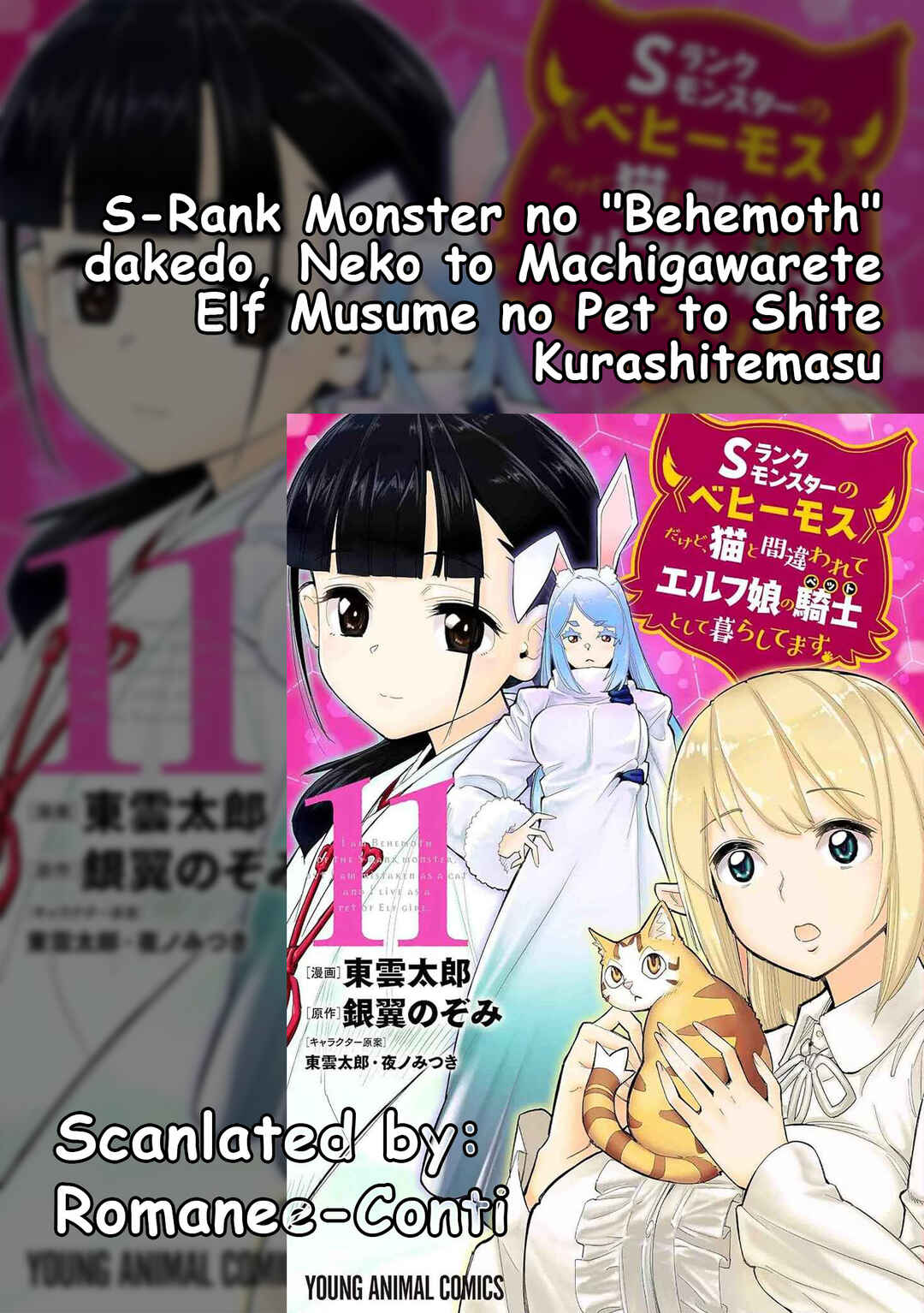 S-Rank Monster no "Behemoth" dakedo, Neko to Machigawarete Elf Musume no Pet to Shite Kurashitemasu Chapter 62 - Page 1