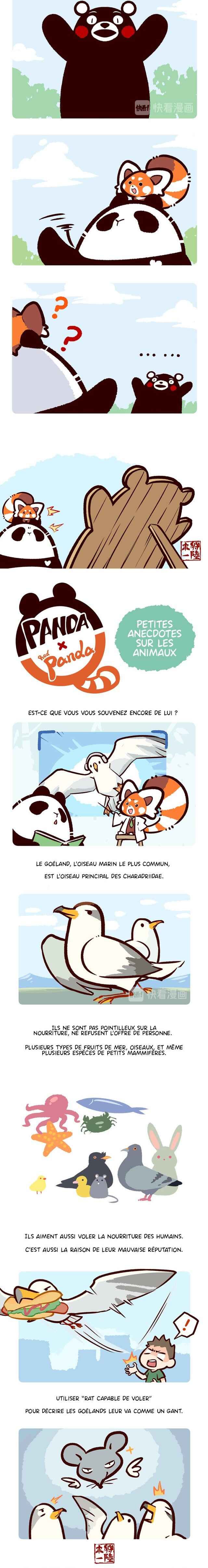 Panda x Red Panda Chapter 19 - Page 3