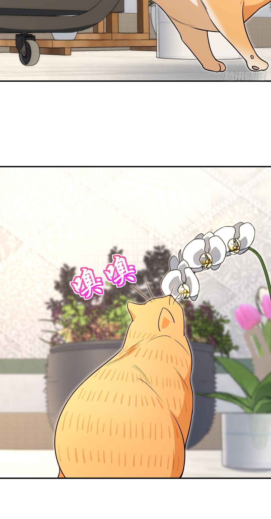 Wǒ Jiā Lǎopo Láizì Yīqiān Nián Qián Chapter 380 - Page 29