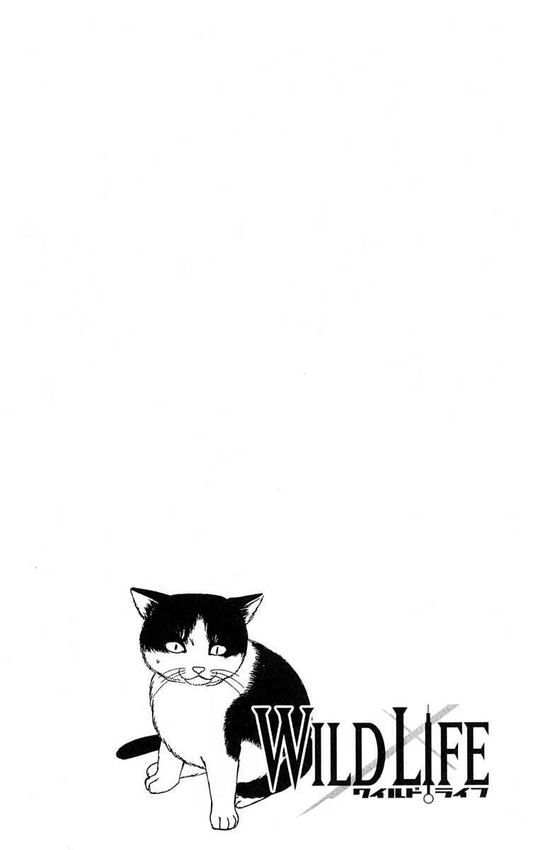 Wild Life Chapter 9 - Page 3