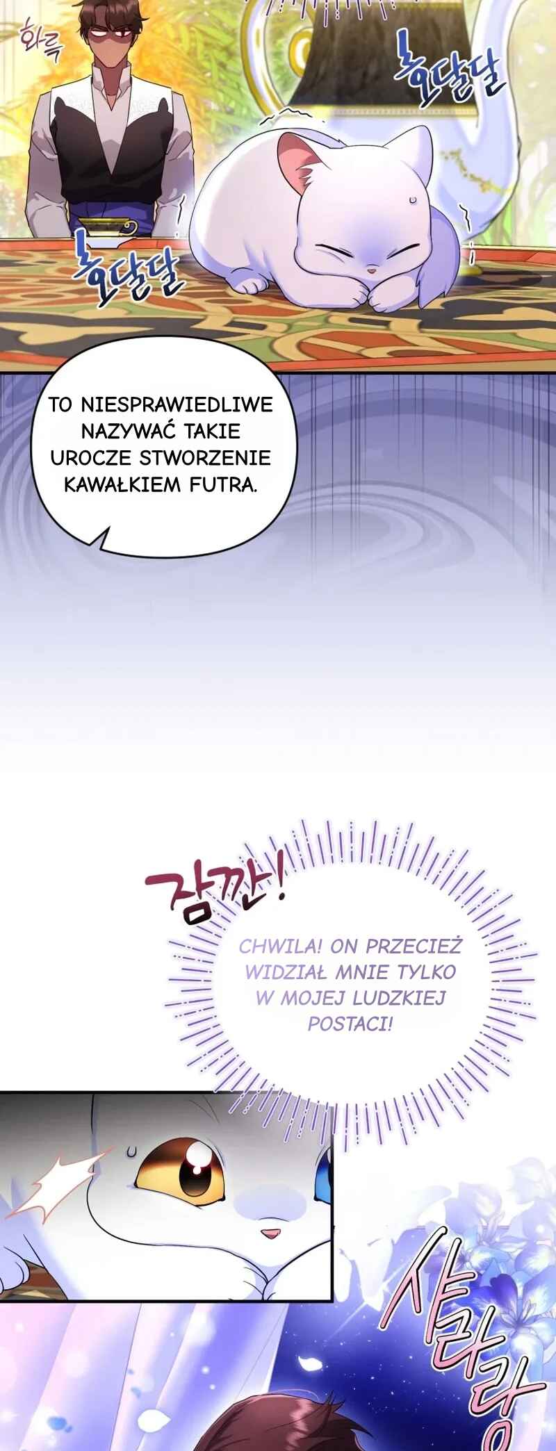 I Became the Sultan's Precious Cat Chapter 6 - Page 5