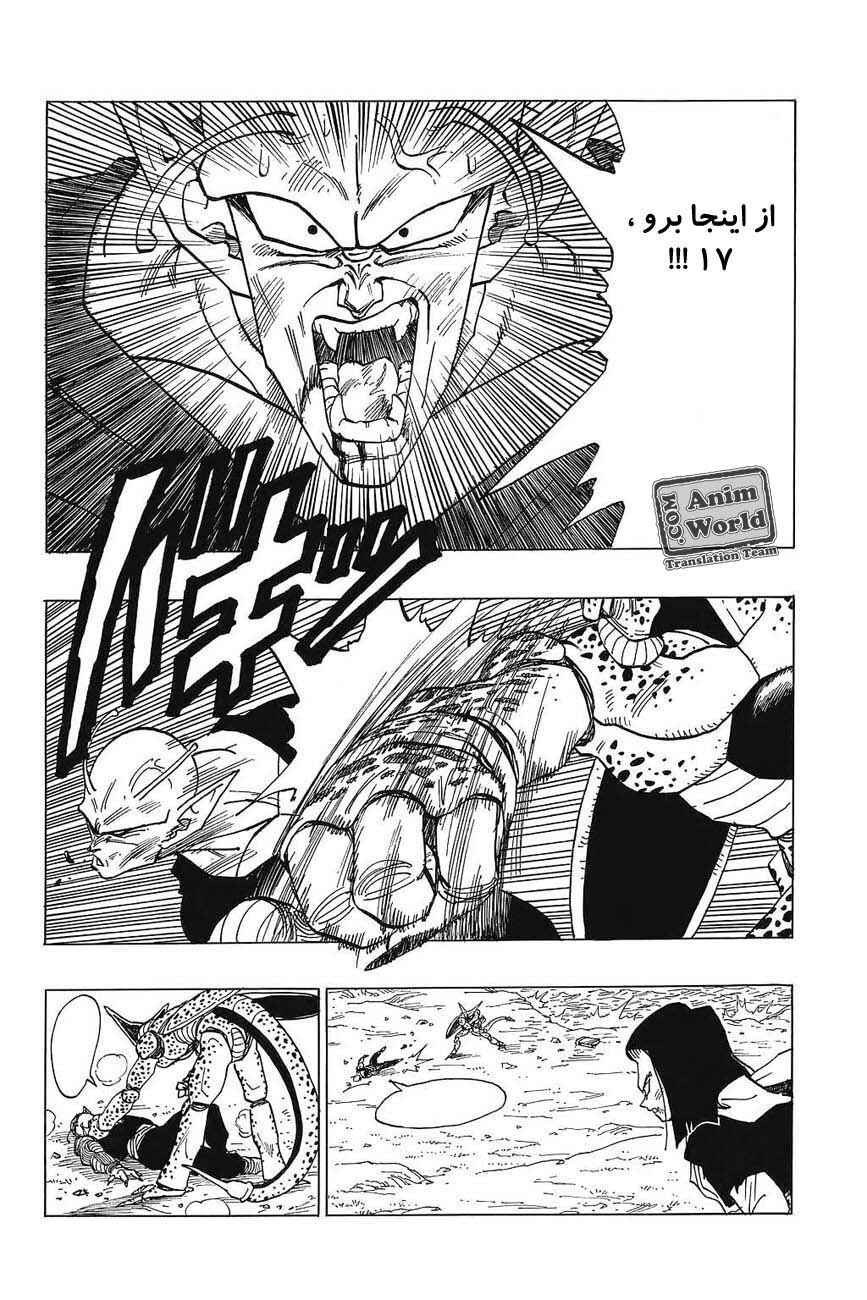 Dragon Ball Chapter 370 - Page 12