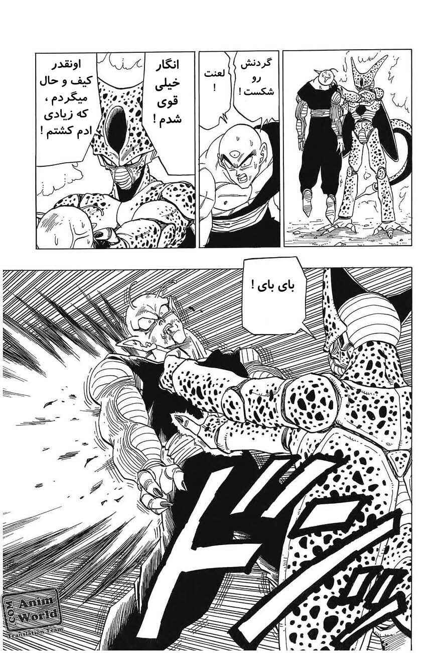 Dragon Ball Chapter 370 - Page 13