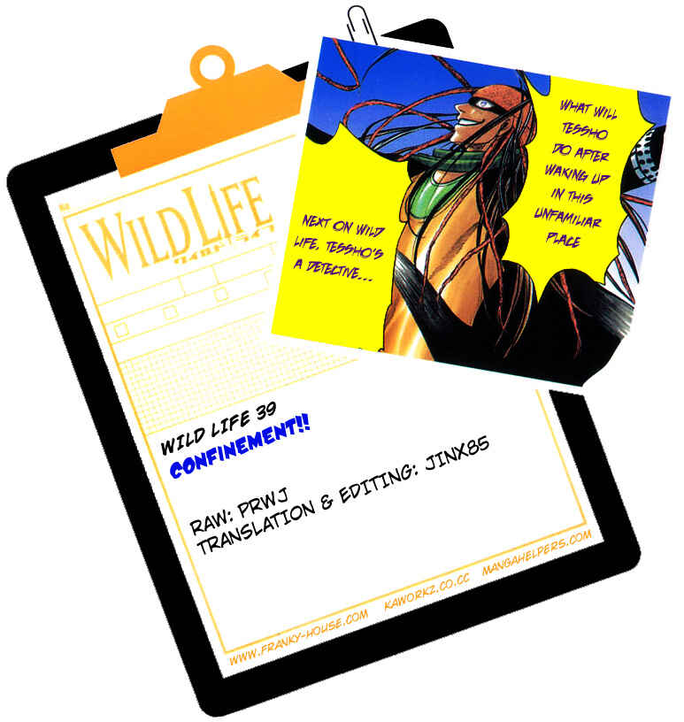 Wild Life Chapter 39 - Page 19