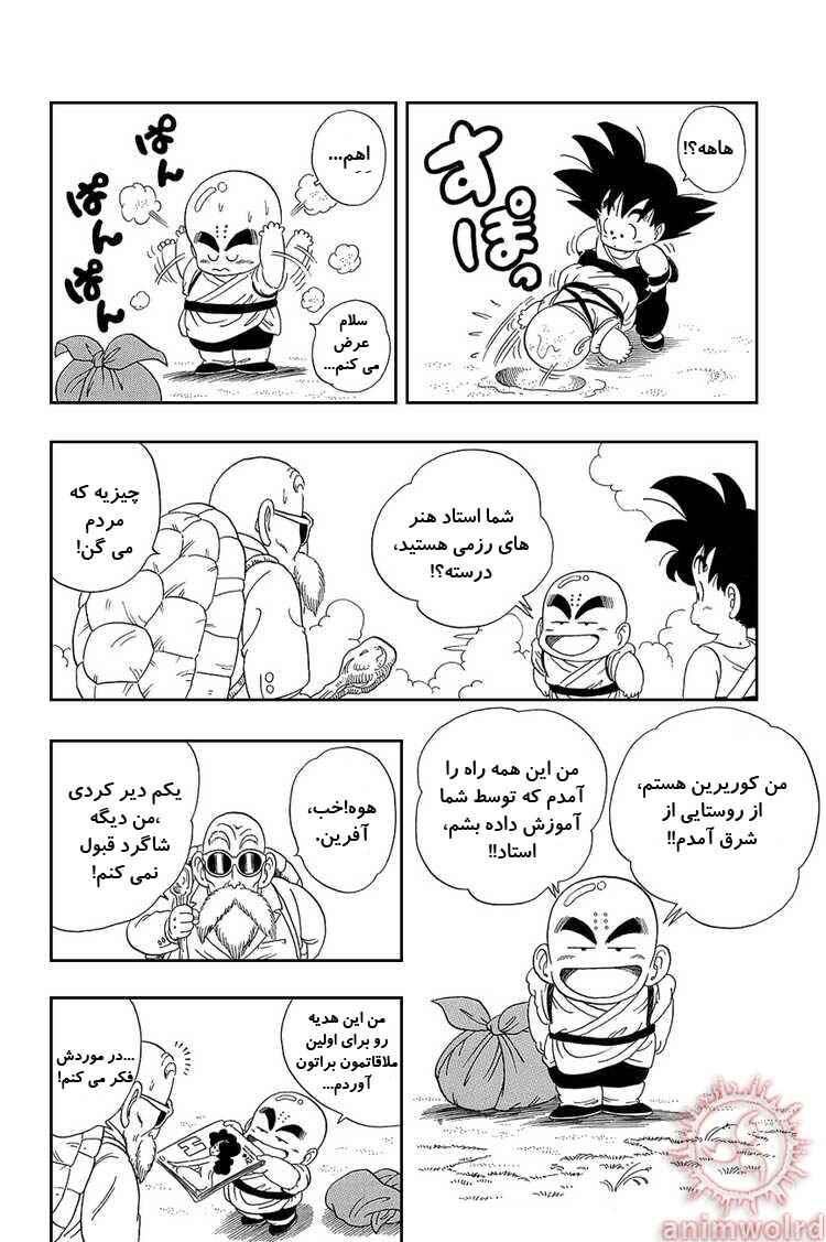 Dragon Ball Chapter 25 - Page 12