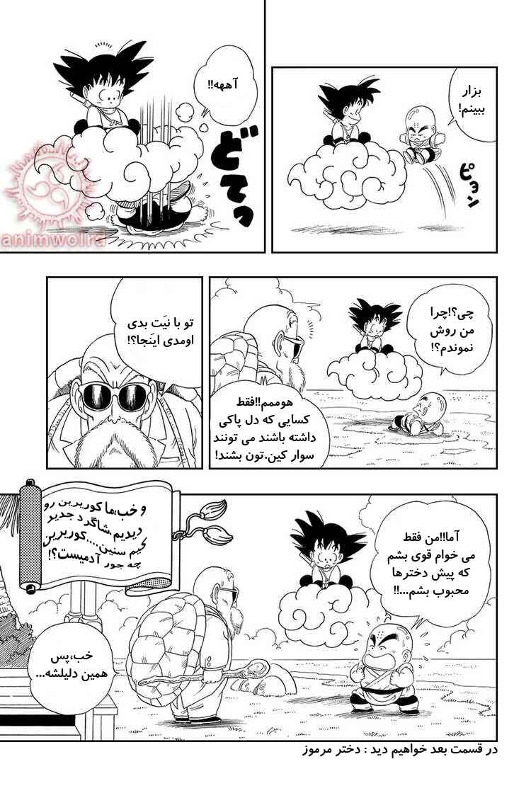 Dragon Ball Chapter 25 - Page 15