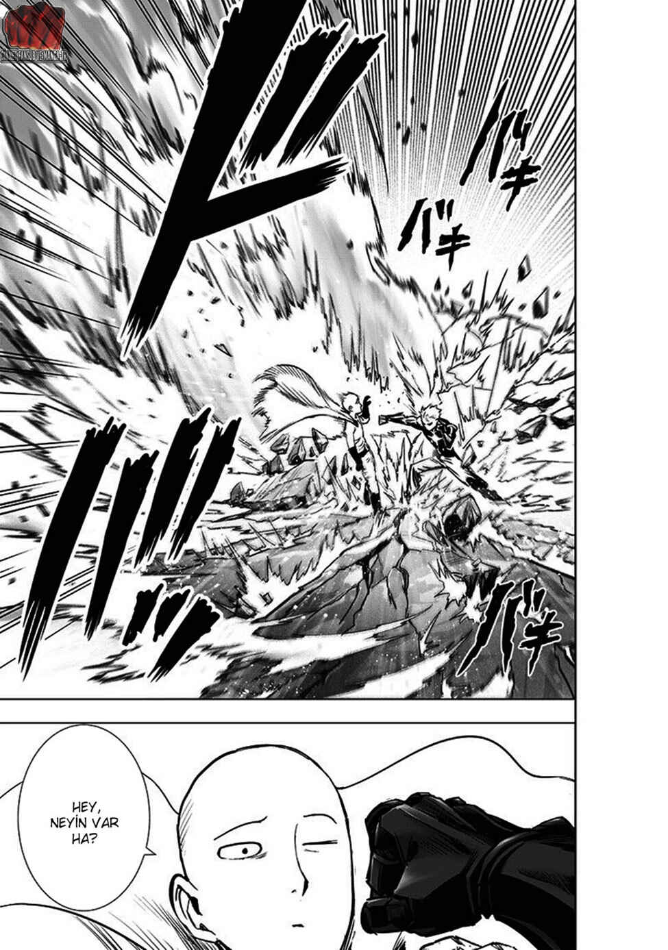 One Punch-Man Chapter 191 - Page 14