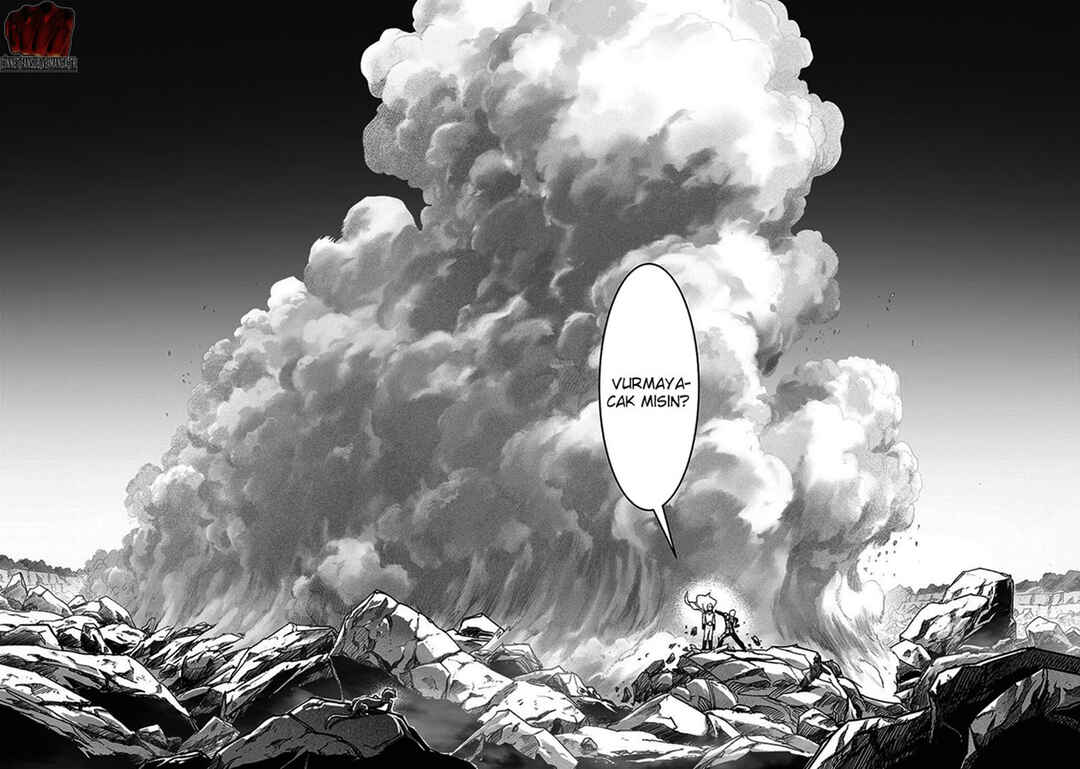One Punch-Man Chapter 191 - Page 15