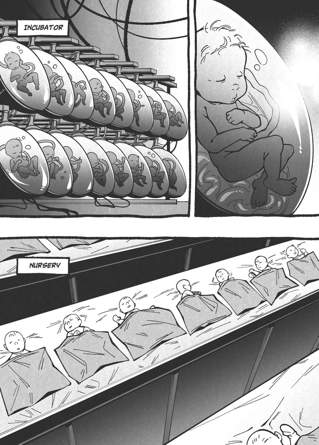 The Life of a Fox Chapter 2 - Page 2