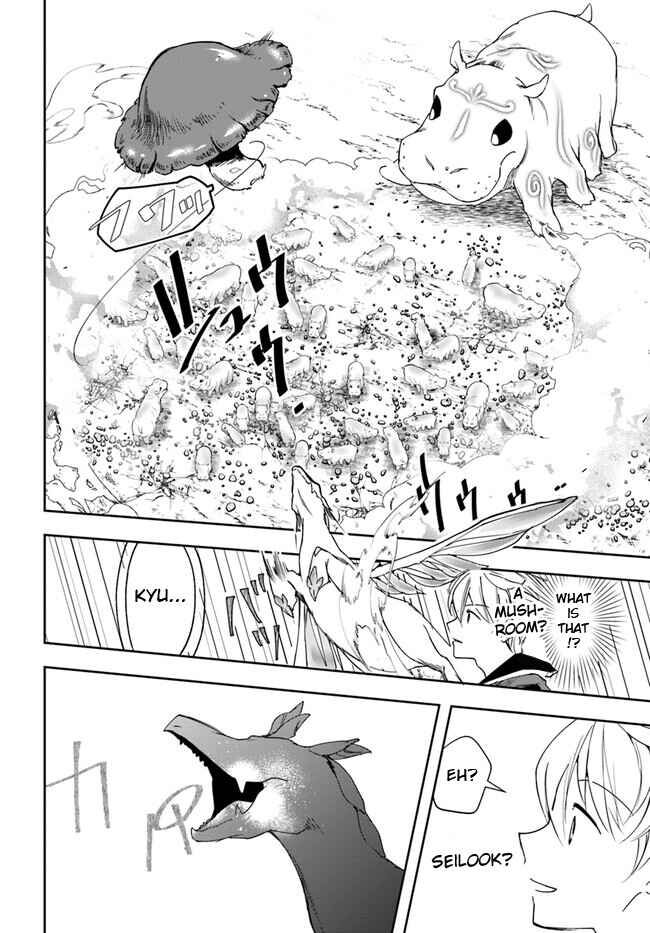 Henkyou no Renkinjutsushi Chapter 25.2 - Page 11