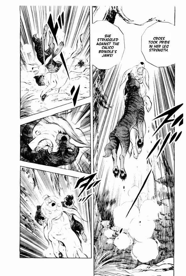 Silver Fang – The Shooting Star Gin – Chapter 13 - Page 35