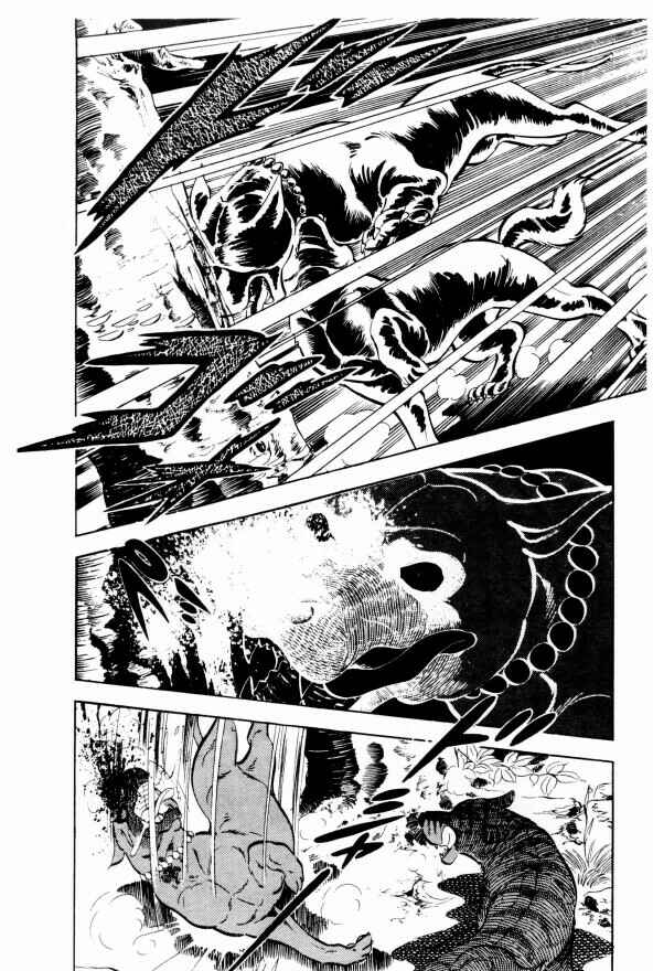 Silver Fang – The Shooting Star Gin – Chapter 13 - Page 43