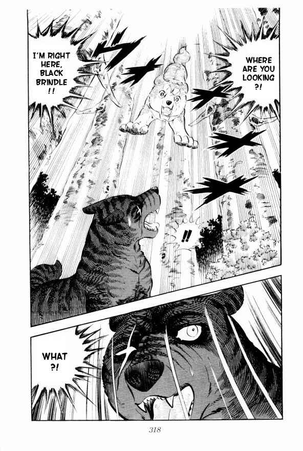 Silver Fang – The Shooting Star Gin – Chapter 13 - Page 49