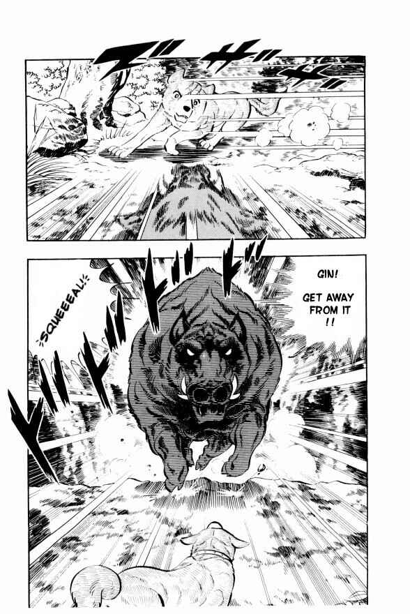 Silver Fang – The Shooting Star Gin – Chapter 13 - Page 5