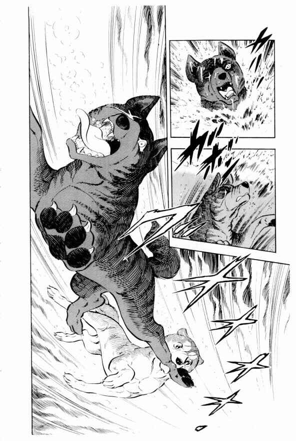 Silver Fang – The Shooting Star Gin – Chapter 13 - Page 53