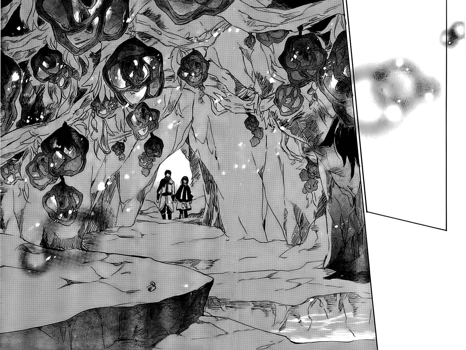 Akagami no Shirayukihime Chapter 38 - Page 39
