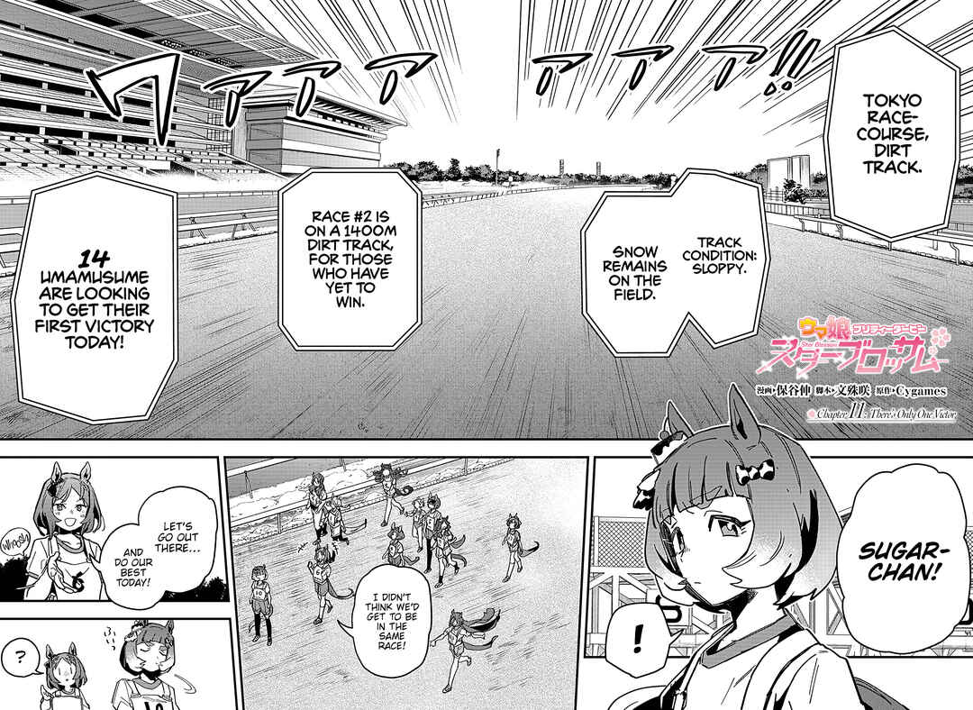 Uma Musume - Pretty Derby: Star Blossom Chapter 11 - Page 2