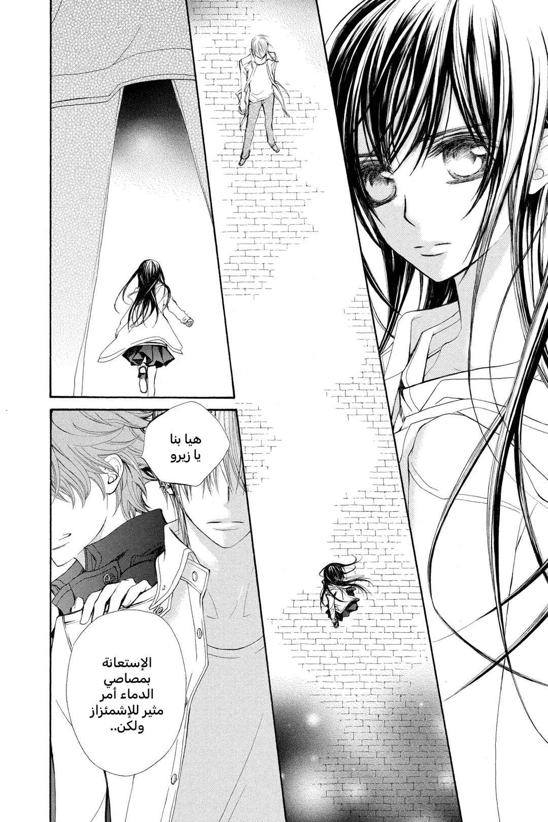 Vampire Knight Chapter 71 - Page 30