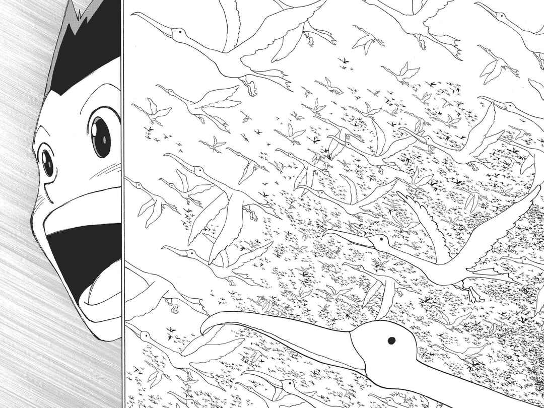 Hunter x Hunter Chapter 339 - Page 9