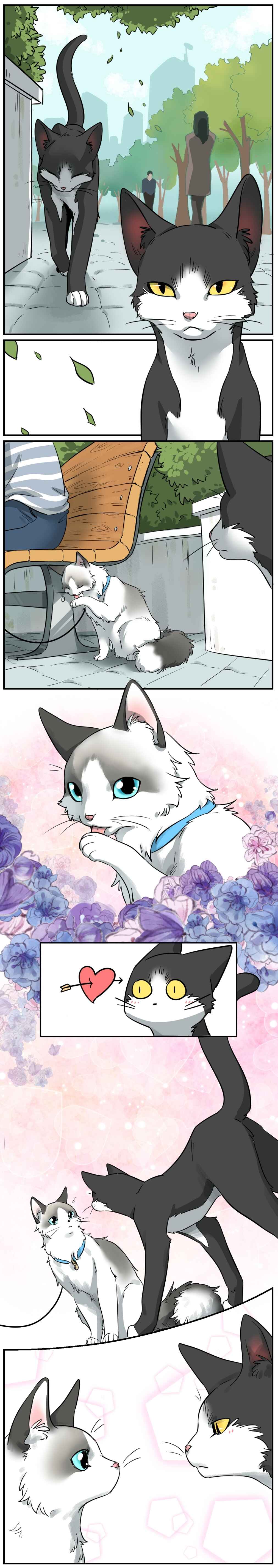 Sesame and Rice Cake Chapter 0.1 - Page 1
