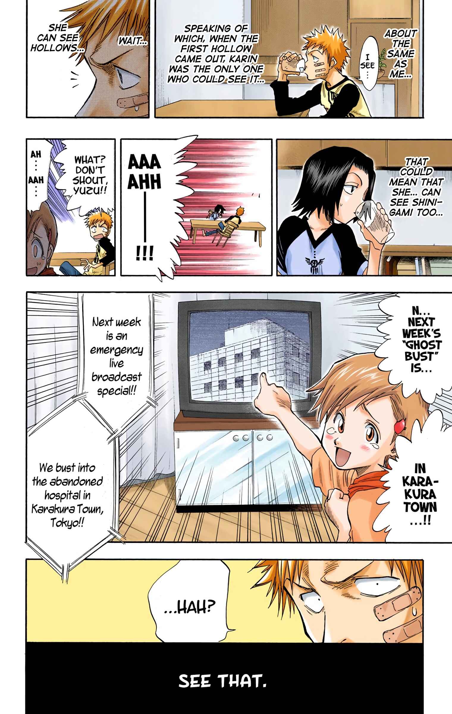 Bleach (Official Colored) Chapter 27 - Page 8