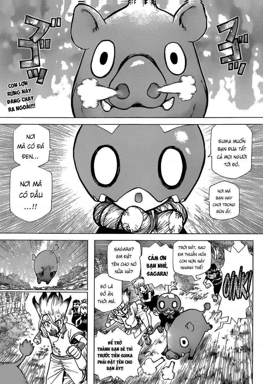 Dr.STONE Chapter 95 - Page 5