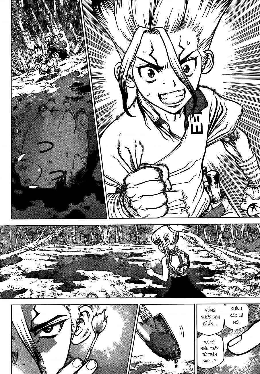 Dr.STONE Chapter 95 - Page 6