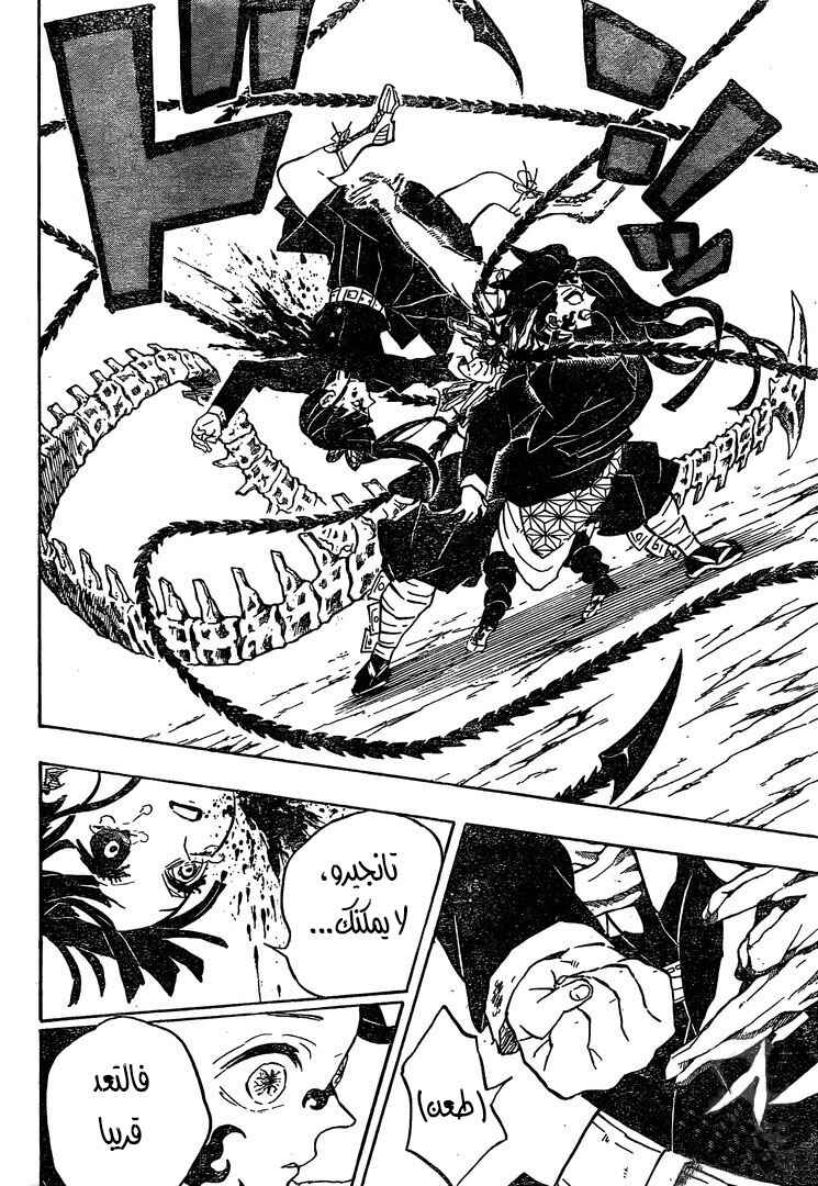 Demon Slayer: Kimetsu no Yaiba Chapter 202 - Page 19