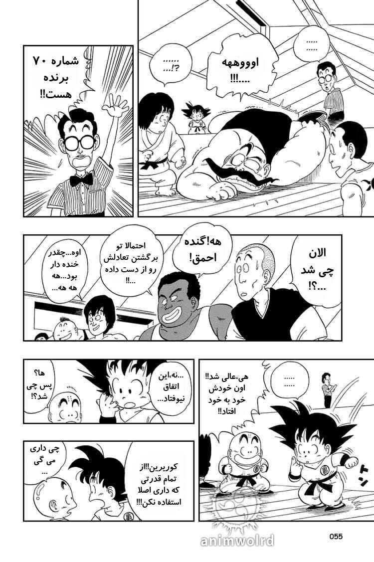 Dragon Ball Chapter 33 - Page 10