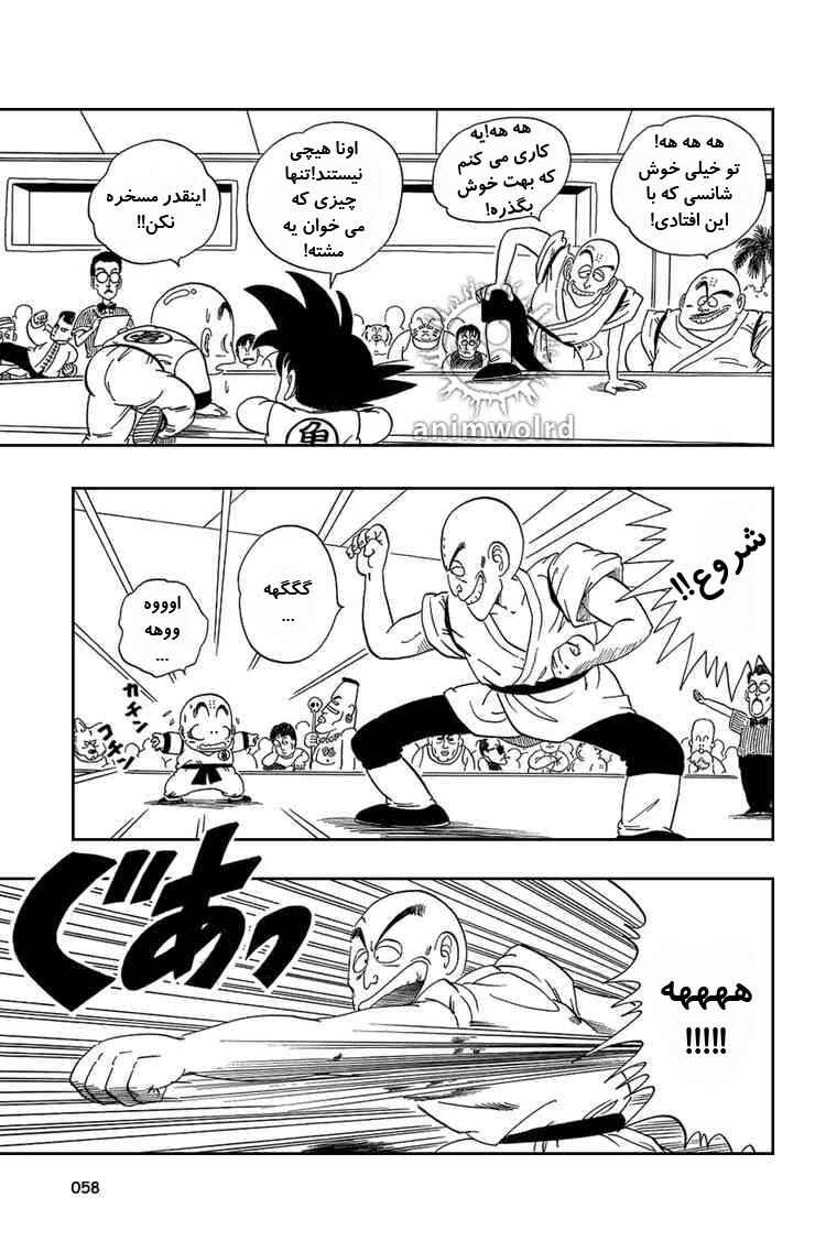 Dragon Ball Chapter 33 - Page 13