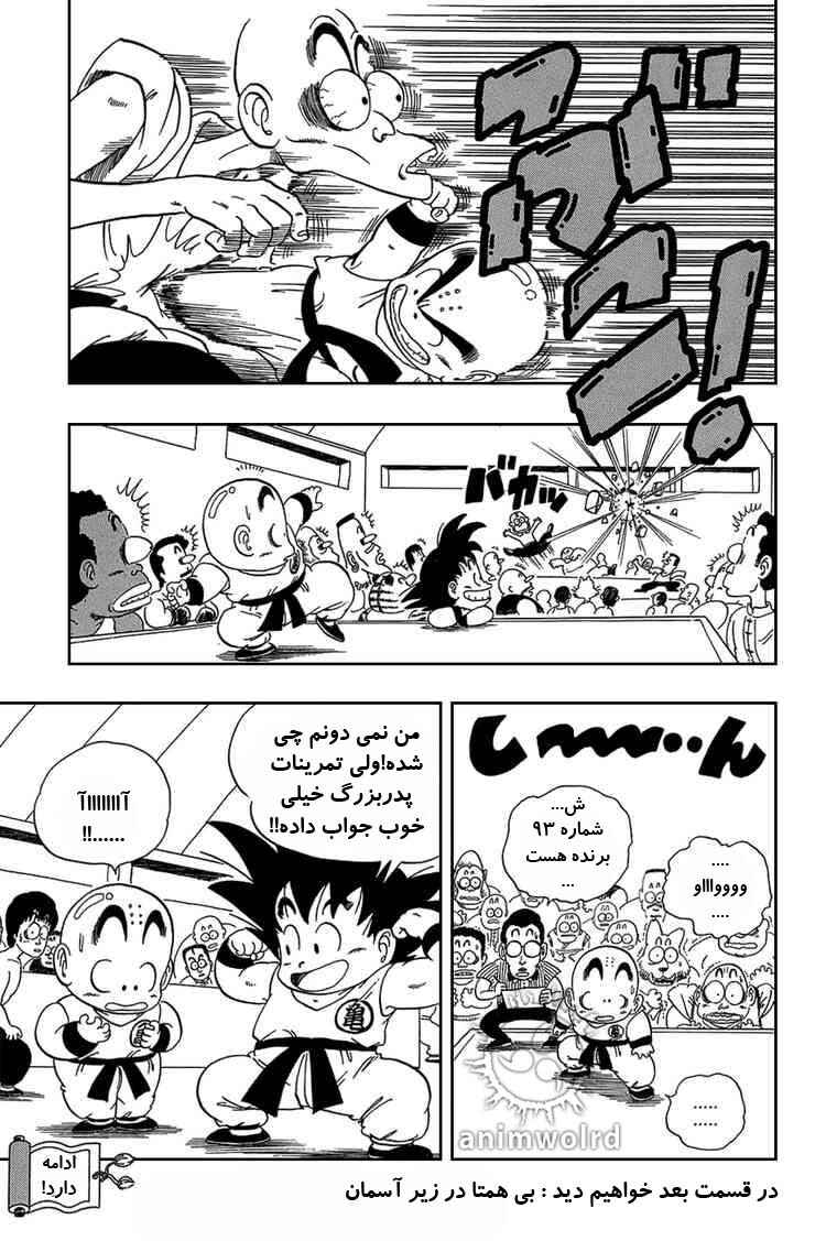 Dragon Ball Chapter 33 - Page 15