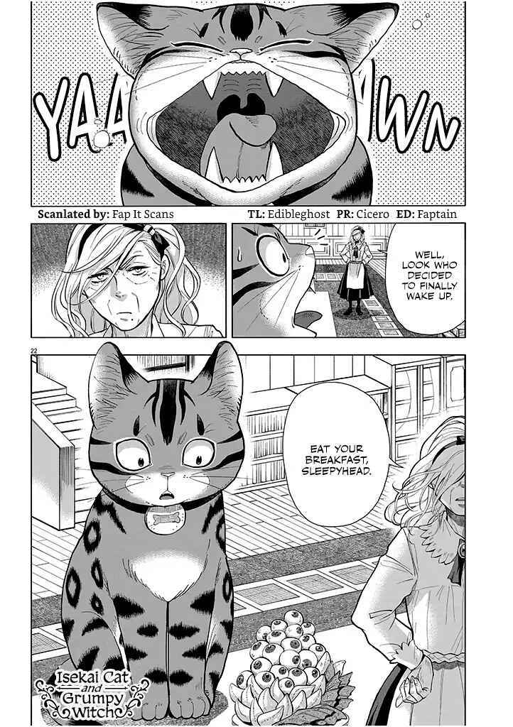 Isekai Neko to Fukigen na Majo Chapter 3 - Page 22
