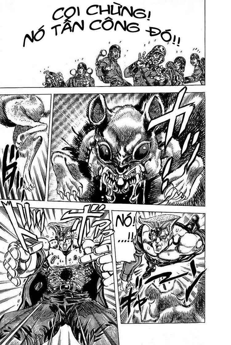 JoJo no Kimyou na Bouken: Part 2 - Sentou Chouryuu Chapter 65 - Page 8