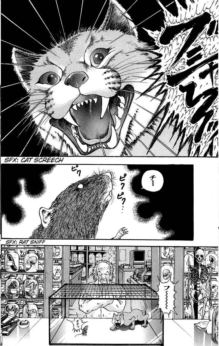 Grappler Baki Chapter 301 - Page 2