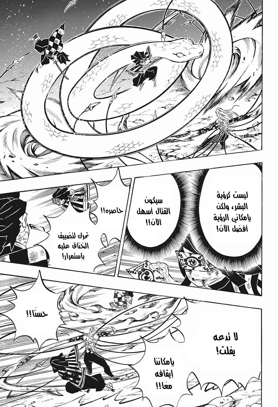 Demon Slayer: Kimetsu no Yaiba Chapter 195 - Page 17
