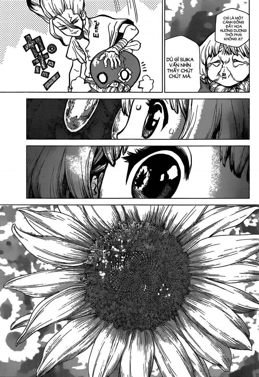 Dr.STONE Chapter 28 - Page 14