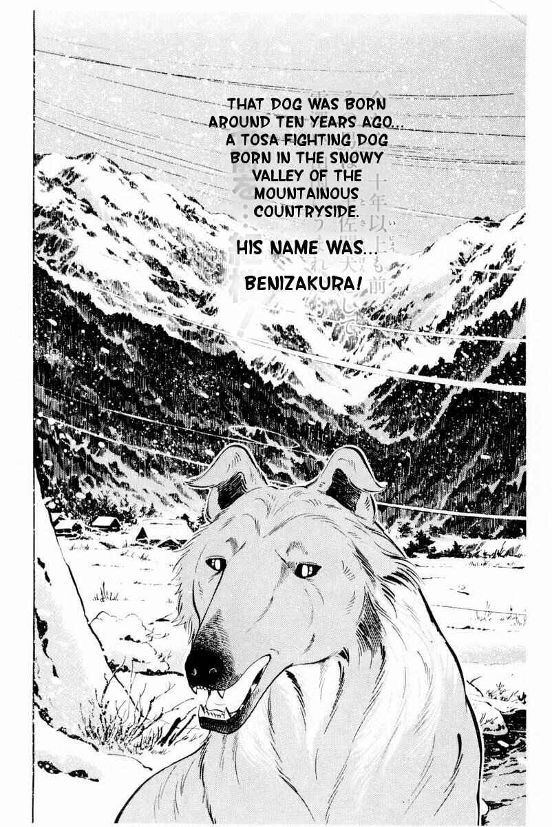 Silver Fang – The Shooting Star Gin – Chapter 28 - Page 2