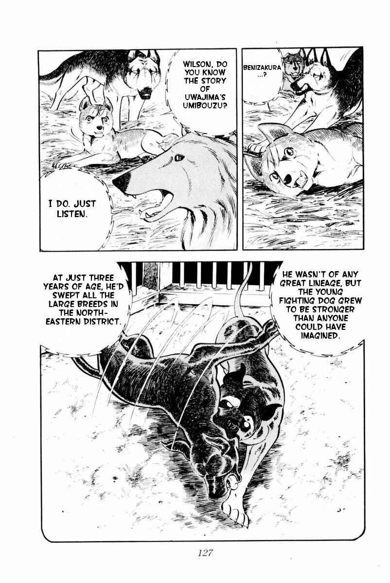Silver Fang – The Shooting Star Gin – Chapter 28 - Page 3