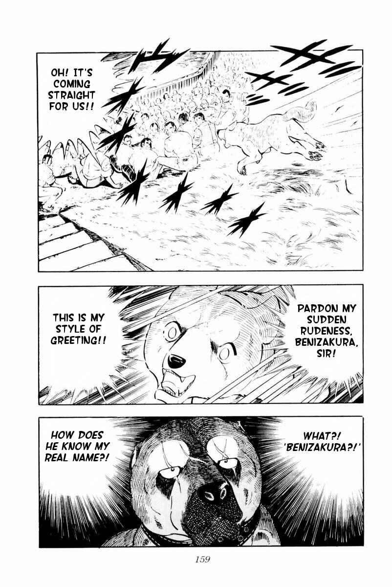 Silver Fang – The Shooting Star Gin – Chapter 28 - Page 35