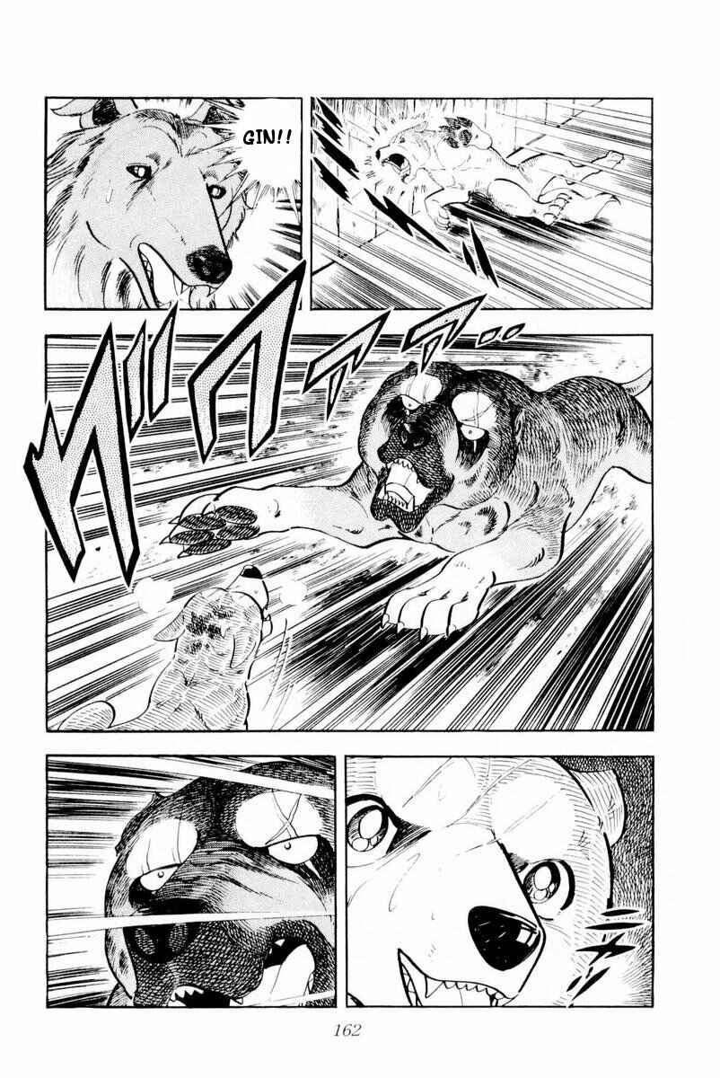 Silver Fang – The Shooting Star Gin – Chapter 28 - Page 38